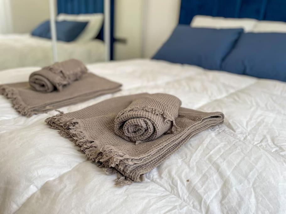Le Lagon Bleu - Appt Wifi Parking Balcon Le Puy-en-Velay Exterior foto