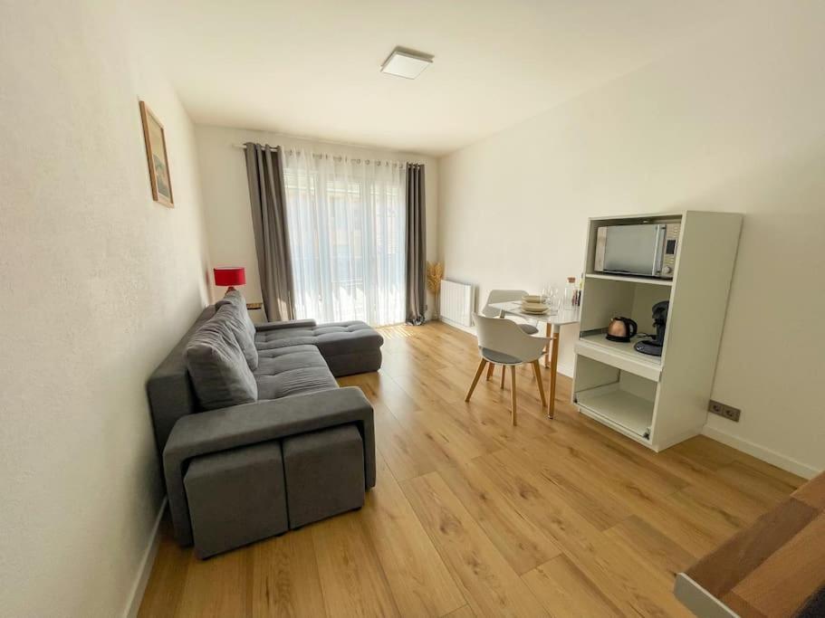 Le Lagon Bleu - Appt Wifi Parking Balcon Le Puy-en-Velay Exterior foto